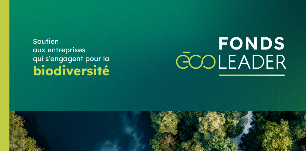 EcoLeader